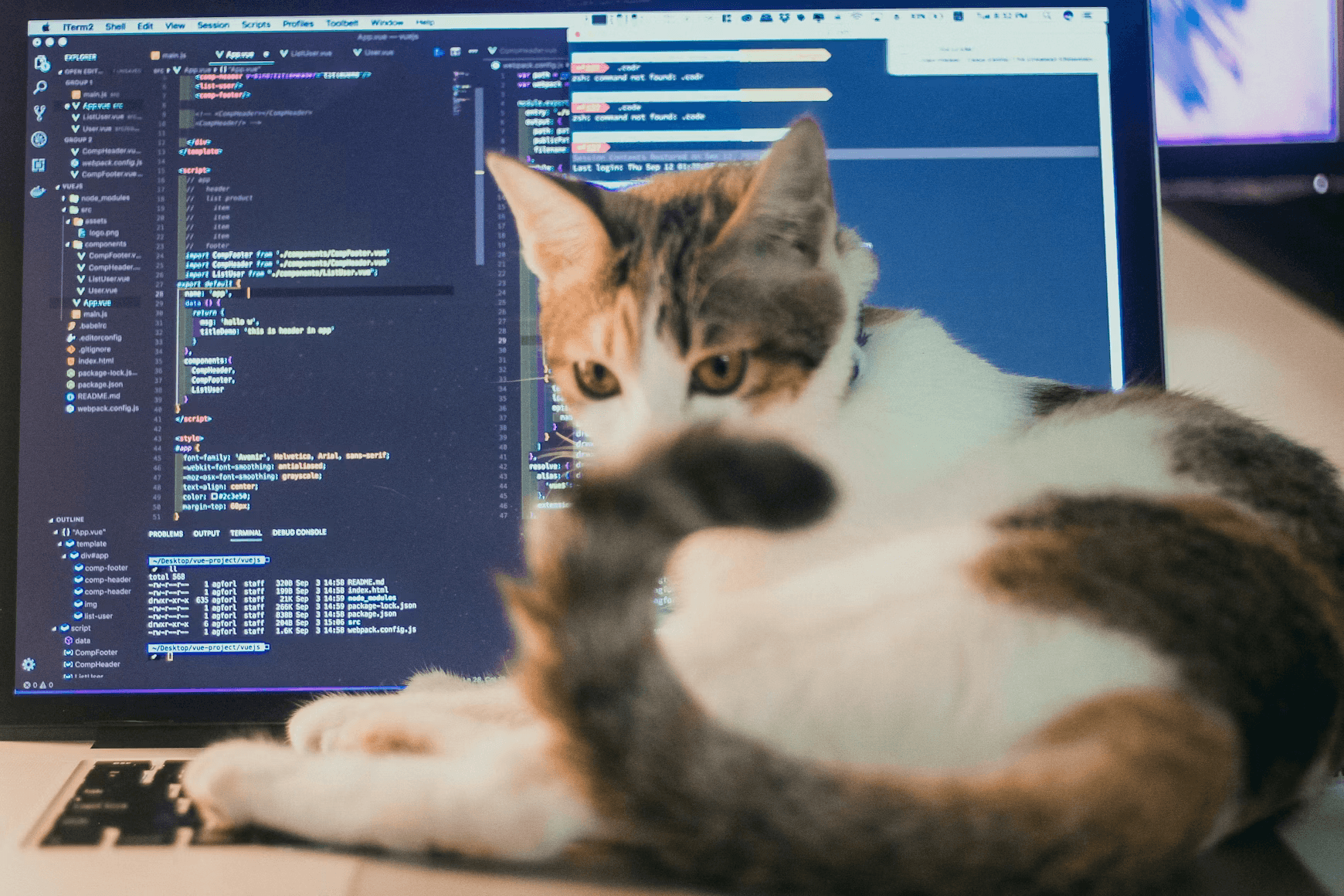 Automating cloud processor benchmarks with SiliconBoutique