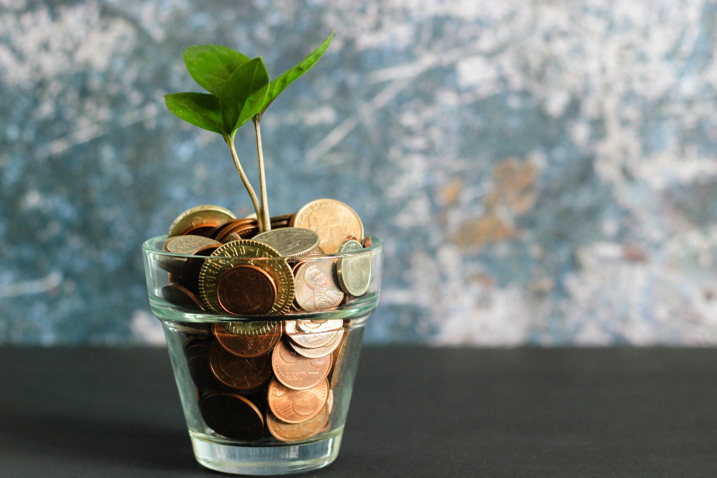 A glass jar full of coins with a small green plant growing out of it